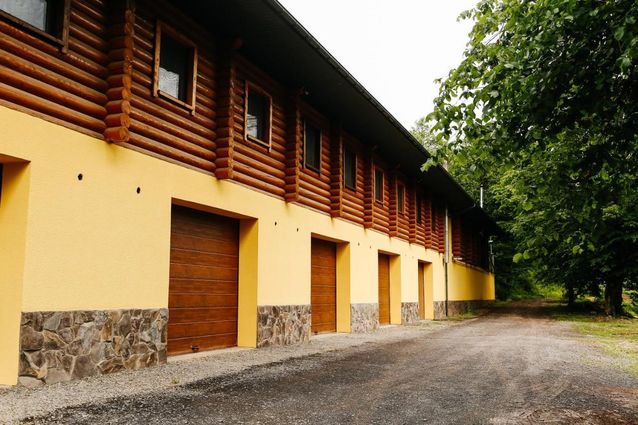 Chudodievo In Chynadievo Mini-Hotel Chynadiyovo 외부 사진