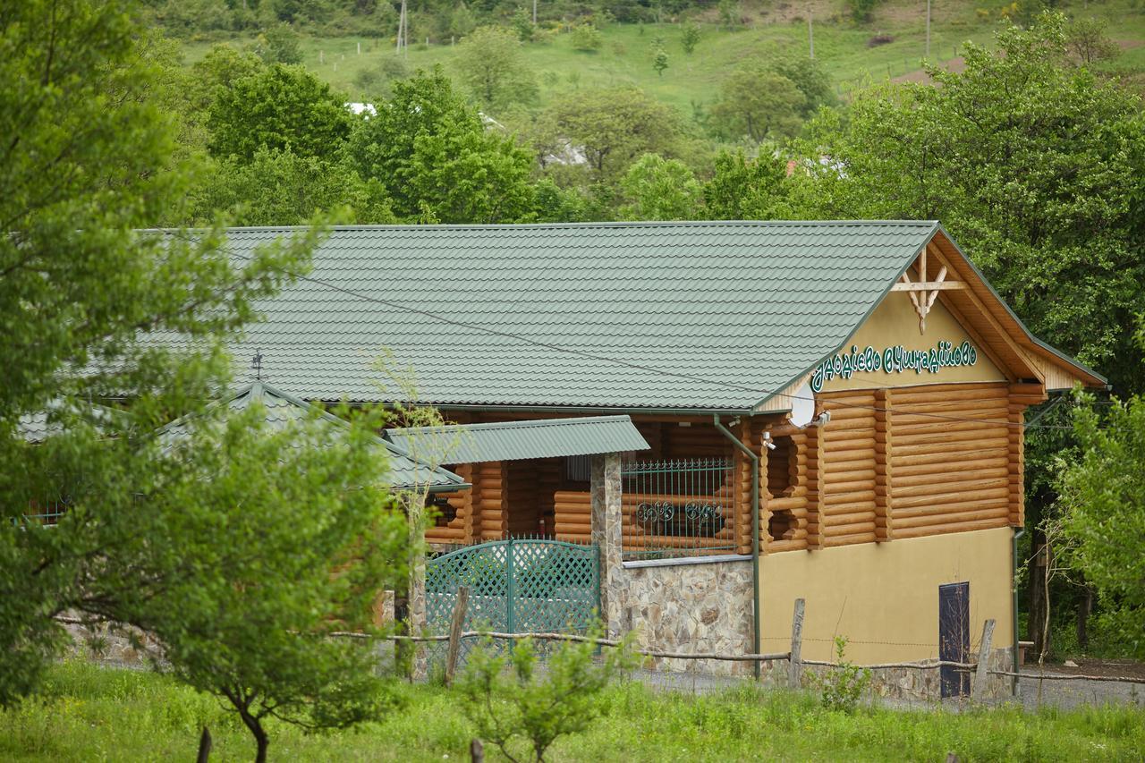 Chudodievo In Chynadievo Mini-Hotel Chynadiyovo 외부 사진